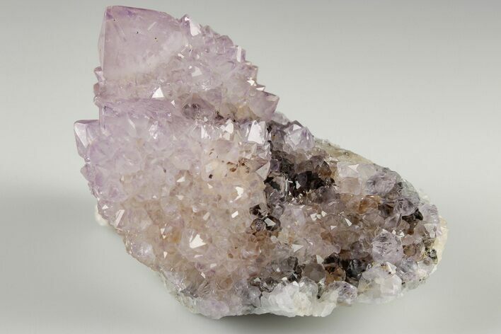 Cactus Quartz (Amethyst) Crystal Cluster- South Africa #187189
